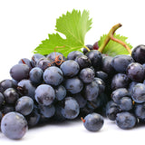 Individuelle Traubenkernöl Creme mischen