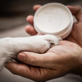 Schüßler Salze für Ihre Vierbeiner